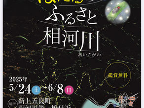 【親子で行きたい初夏のおでかけ】ホタルが舞う幻想の里・新上五島町「相河川(あいこがわ)」へ!