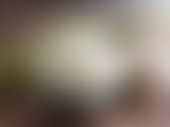 【6/28申請開始】子ども1人につき10kgの県産米がもらえる！【長崎県の子育て支援事業】