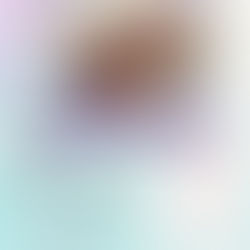 【5/20.21】新上五島初！リトルベビーの写真展が開催されます