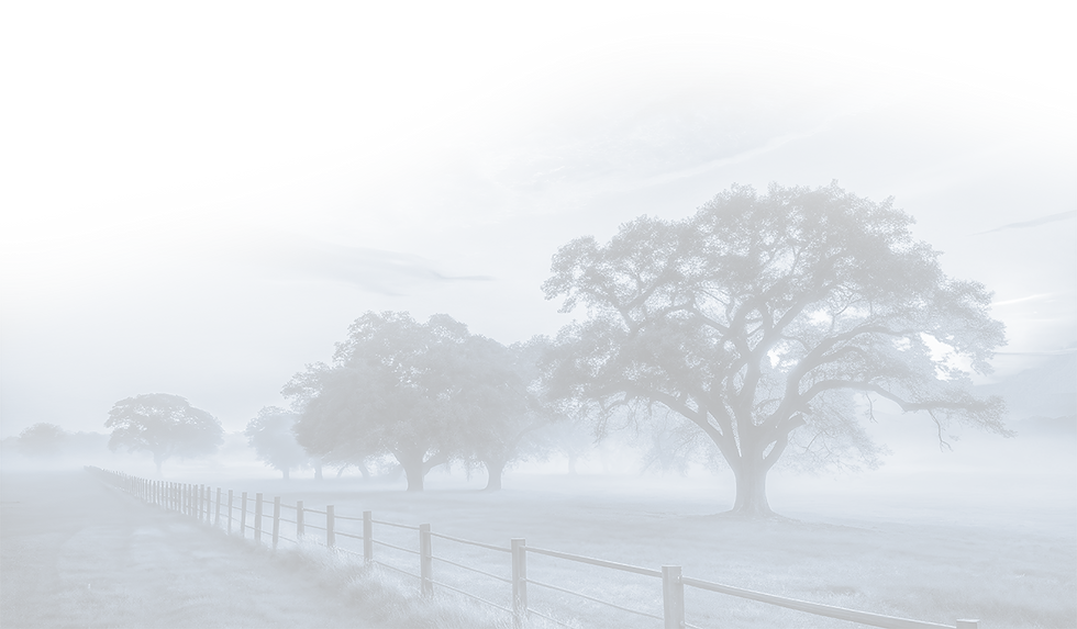AdobeStock_1434748774.png
