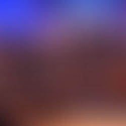 Neujahrskonzert 2020