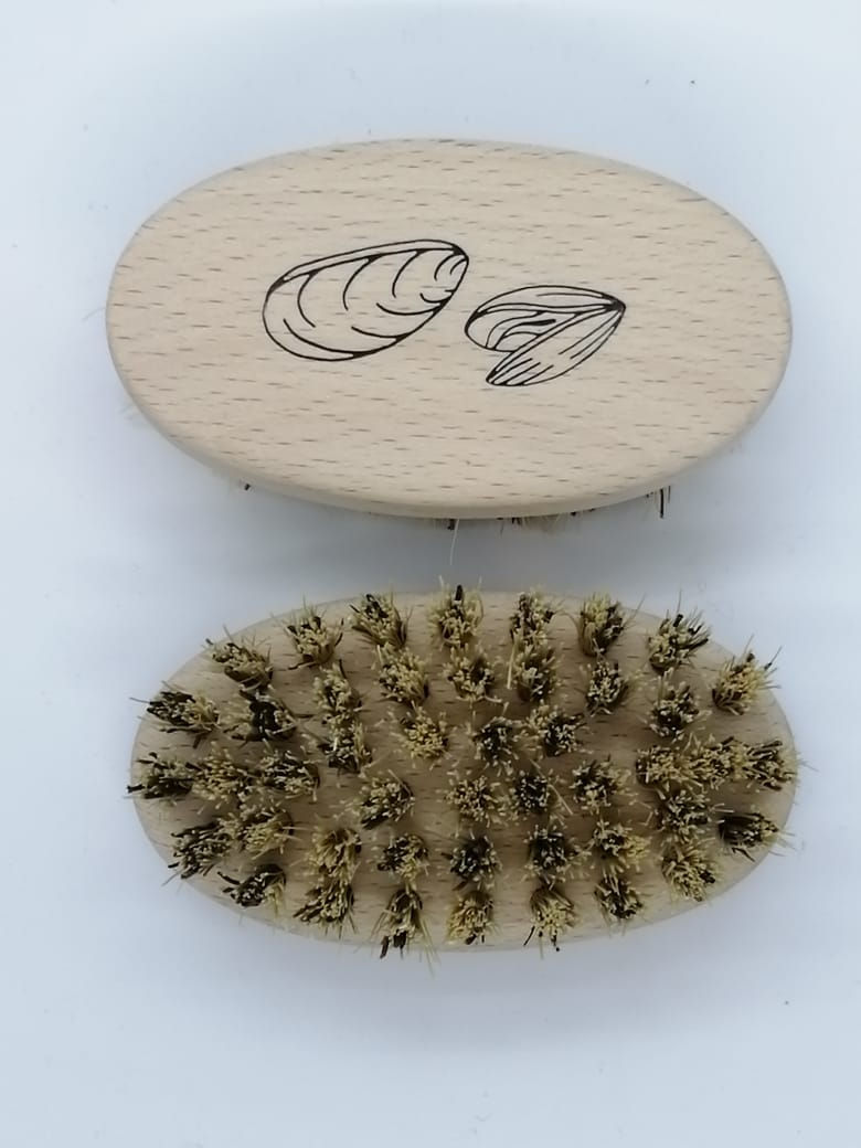brosse à coquillages