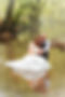 Romantik Brautpaar Shooting von Thommy Willkowei Fotografie