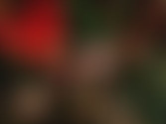 The Joys and Challenges of Owning a Business at Christmas! 🎄🎅🏽