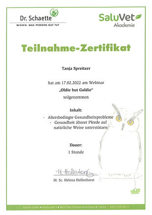 Teilnahmezertifikat Tanja Spreitzer Oldie but Goldie.jpg