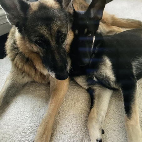 Rescues!!