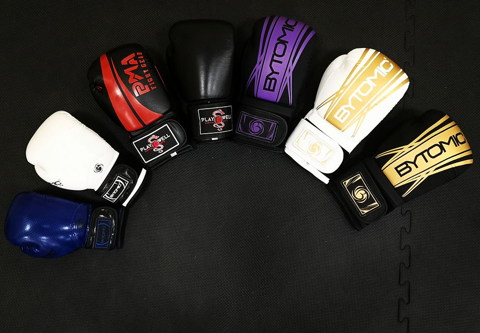 kickboxing gloves
