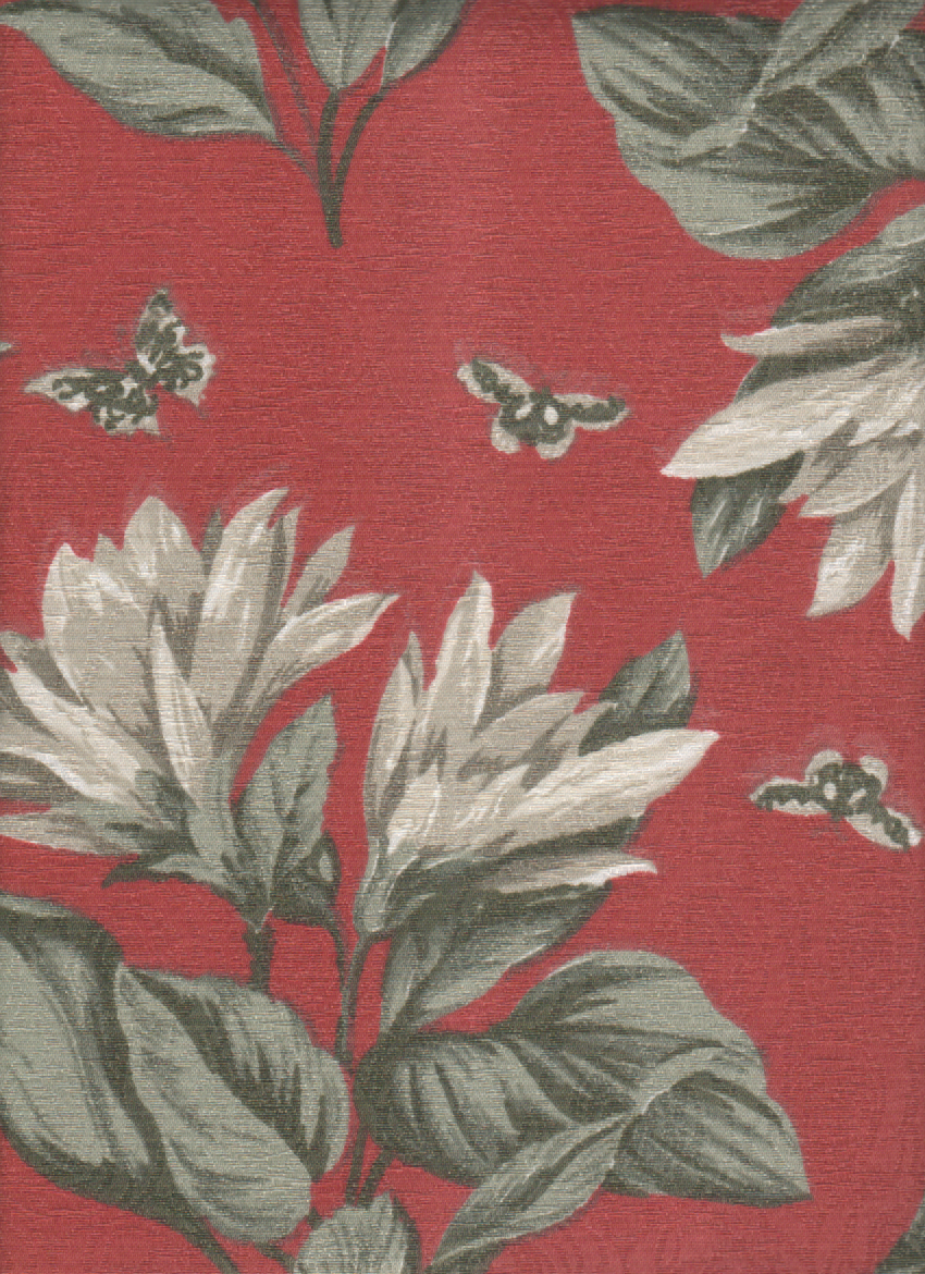 Coral 13 (2)