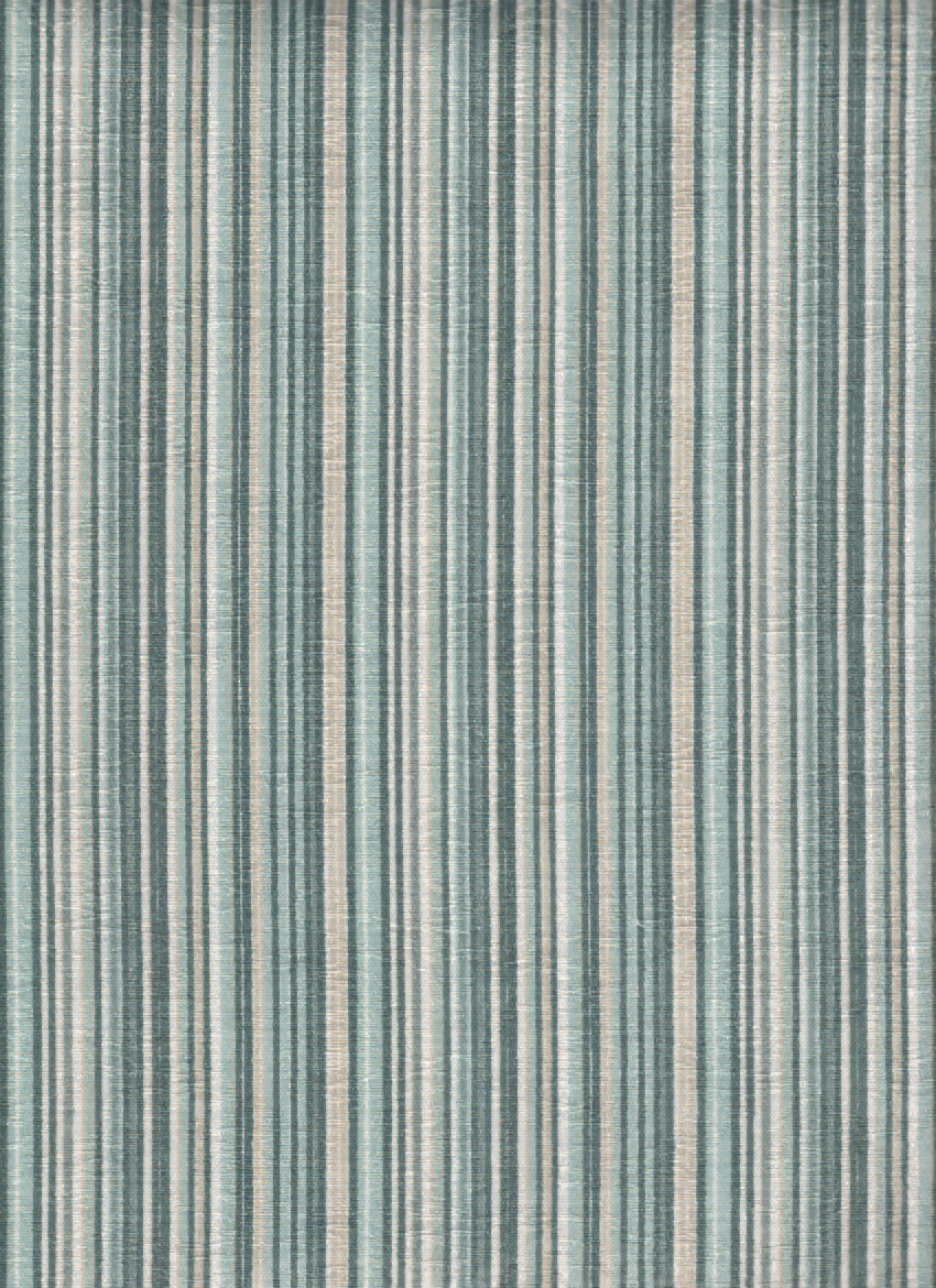 Coral 41