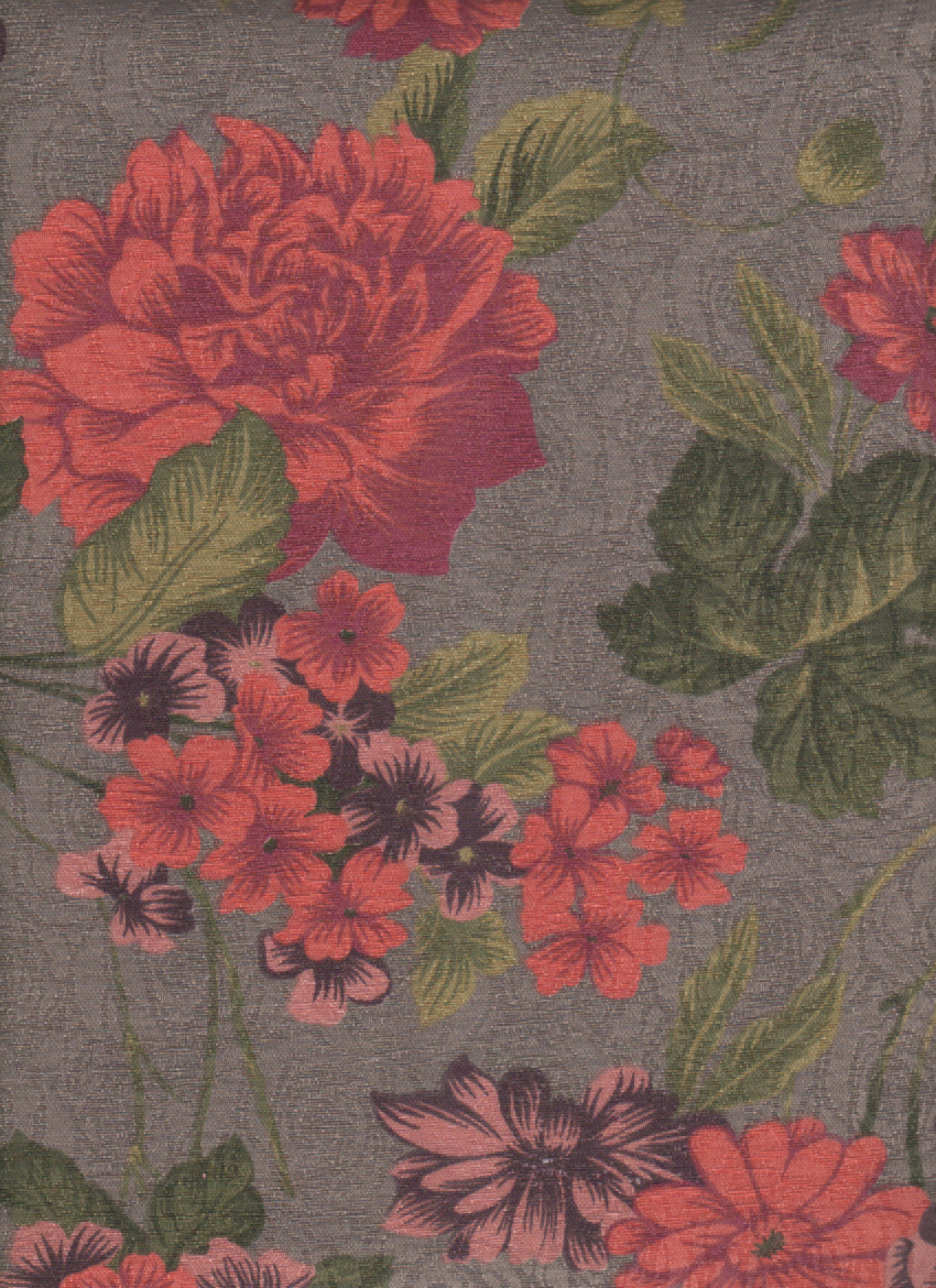 Coral 26 (2)