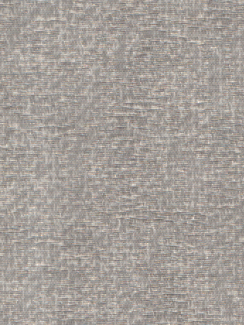 Coral 05