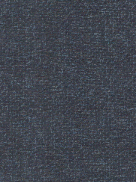 Coral 17