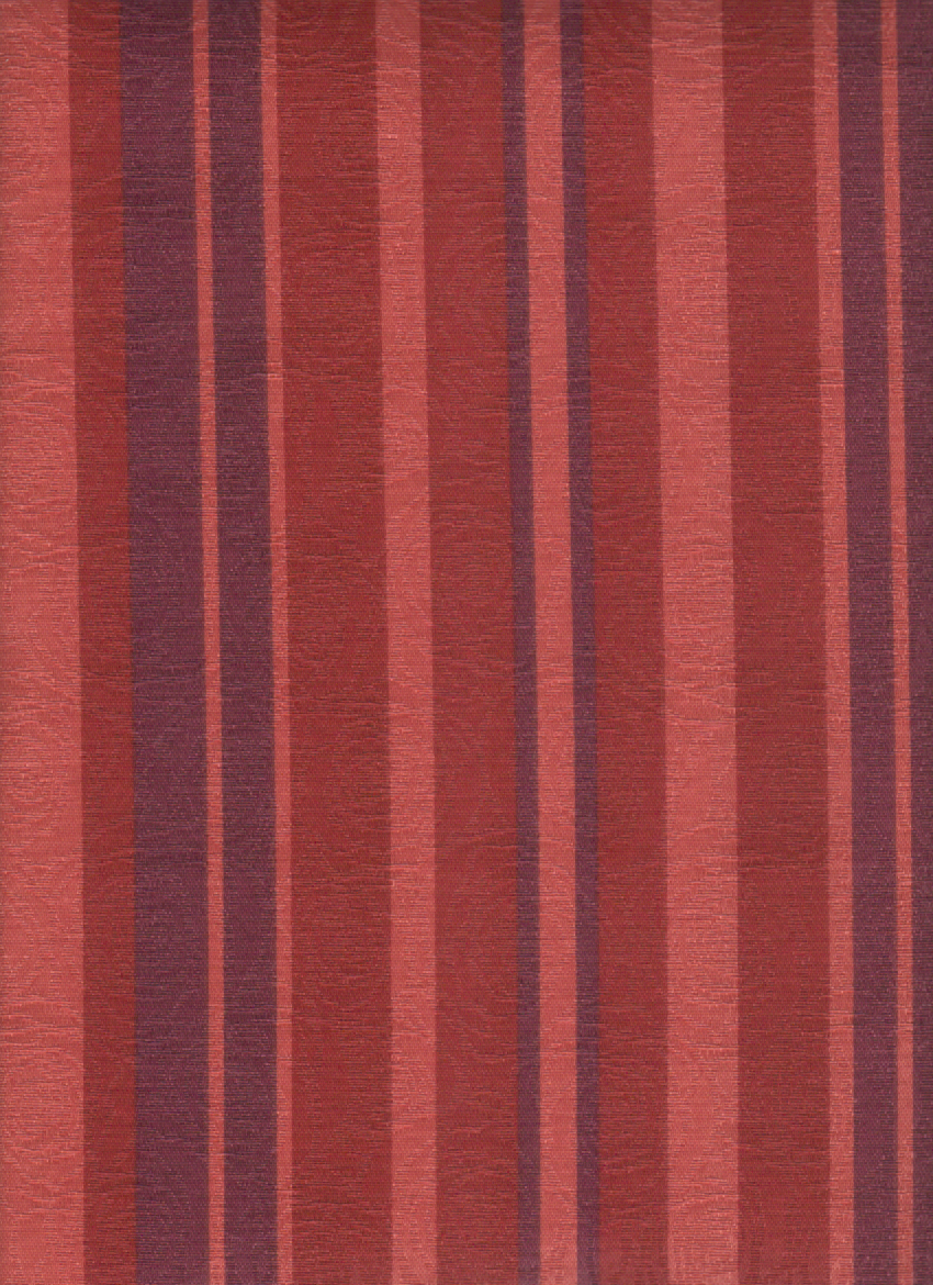 Coral 09 (2)