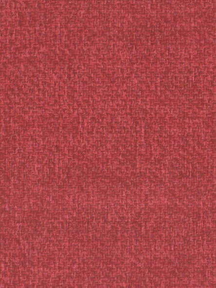 Coral 08