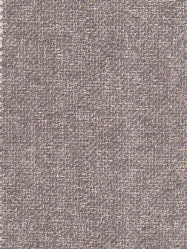 Coral 25