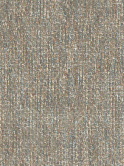 Coral 03
