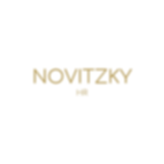 LOGOOO - NOVITZKY (1).png