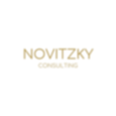 LOGOOO - NOVITZKY (2).png