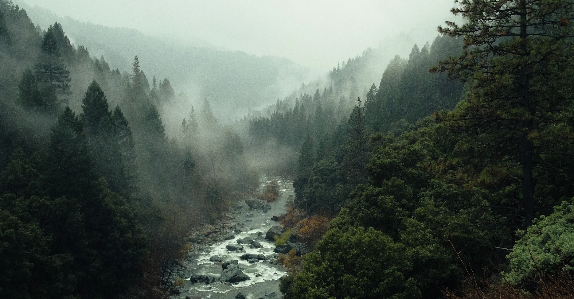 nsplsh_32487a6d7a31357747696b~mv2_d_5184_3456_s_4_2.webp