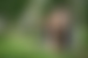 Señales de la inteligencia emocional