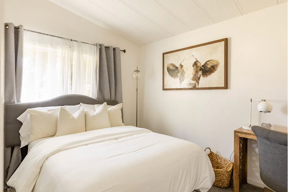 Screen Shot 2022-01-16 at 12.16.09 PM.png