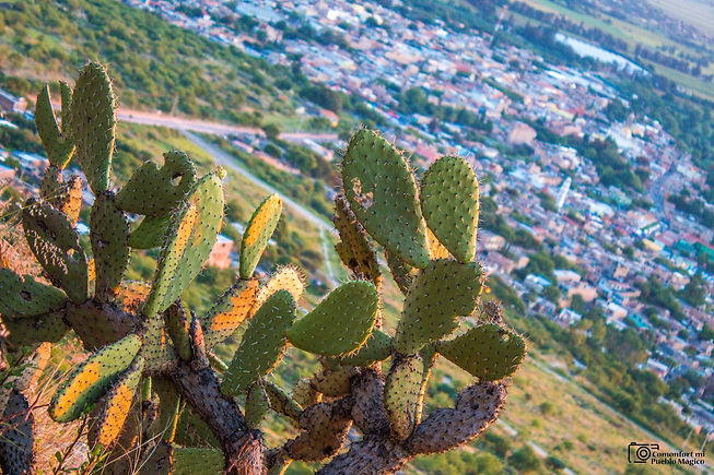 Guanajuato 2.jpeg