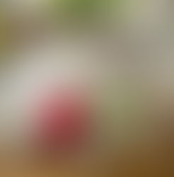 FS Connect Annual Client & Supplier Event 2022