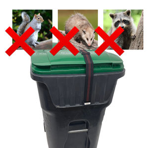 Unwanted Pests
