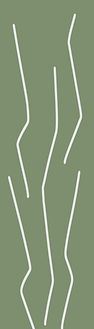 doodle15_edited.jpg
