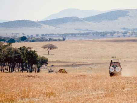Complete guide to planning your trip to Tanzania