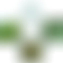 Discover 8 effective organic pest control methods for sustainable farming.