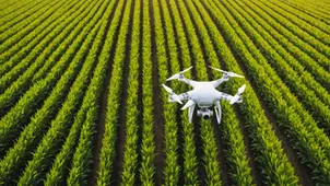 The Role of Data in Modern Farming: Separating Fact from Fiction