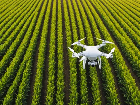 The Role of Data in Modern Farming: Separating Fact from Fiction