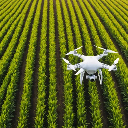 The Role of Data in Modern Farming: Separating Fact from Fiction