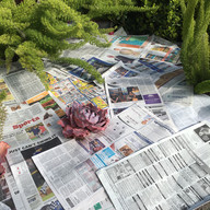 Post Office_Mulch Party