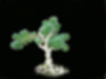 Mini Joshua Tree