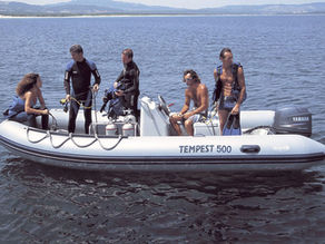 Tempest 500 - Work Line - Capelli