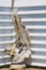 Sculpture en bois flotté
