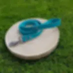 Une laisse turquoise pour chien sur un socle en bois, en extérieur.