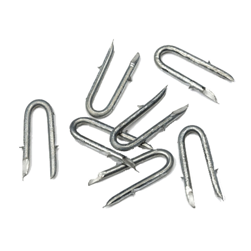 Plusieurs agrafes en métal argenté, Longes en HEXA(16mm), disposées sur un fond blanc.