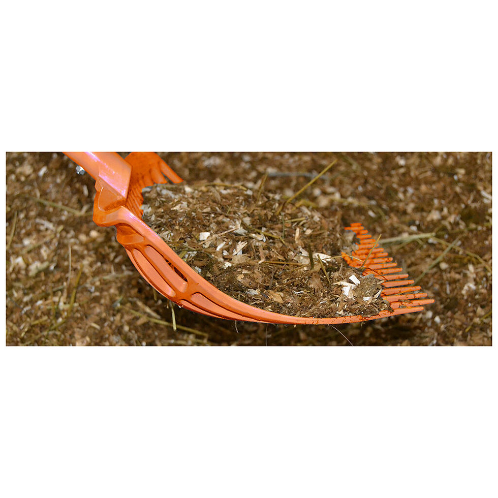 Un jouet orange en forme de dragon sur un fond marron. Flonimaux