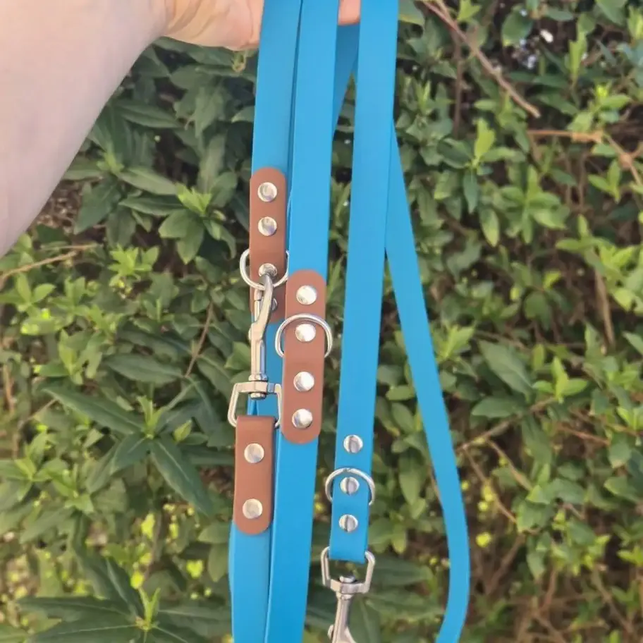 Une main tient des laisses bleues en cuir avec des attaches en métal.