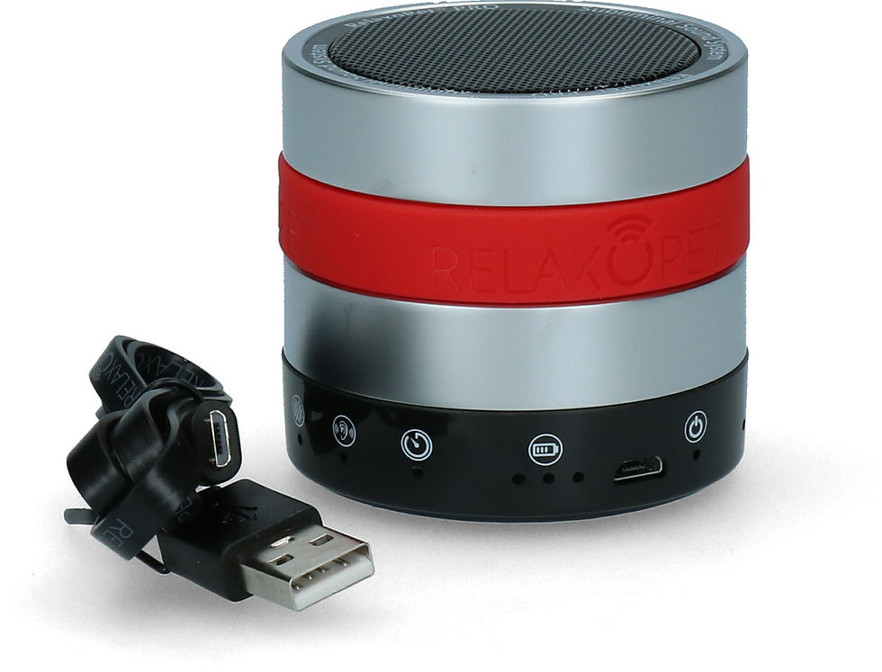 Haut-parleur cylindrique noir et argent avec bande rouge et câble USB à côté.