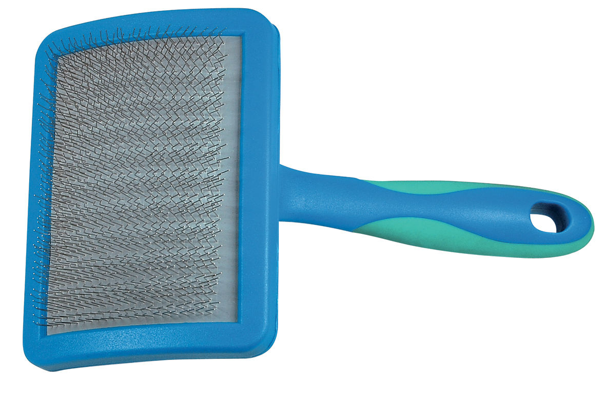 Brosse bleue professionnelle pour chien, Peigne dents graduées VIVOG, conçue pour toilettage.