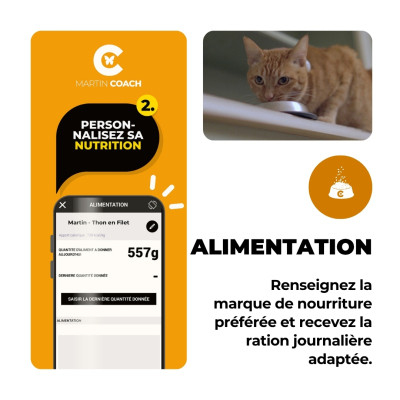 Application pour chats, texte: Personnalisez la nutrition, alimentation, et ration. Gosbits Dental Mini 300 gr.