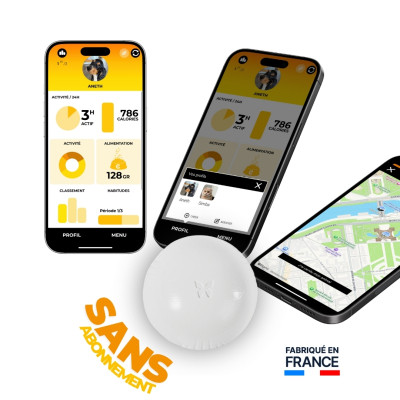 Trois téléphones affichent des graphiques et des cartes, avec une balle blanche et Flonimaux.