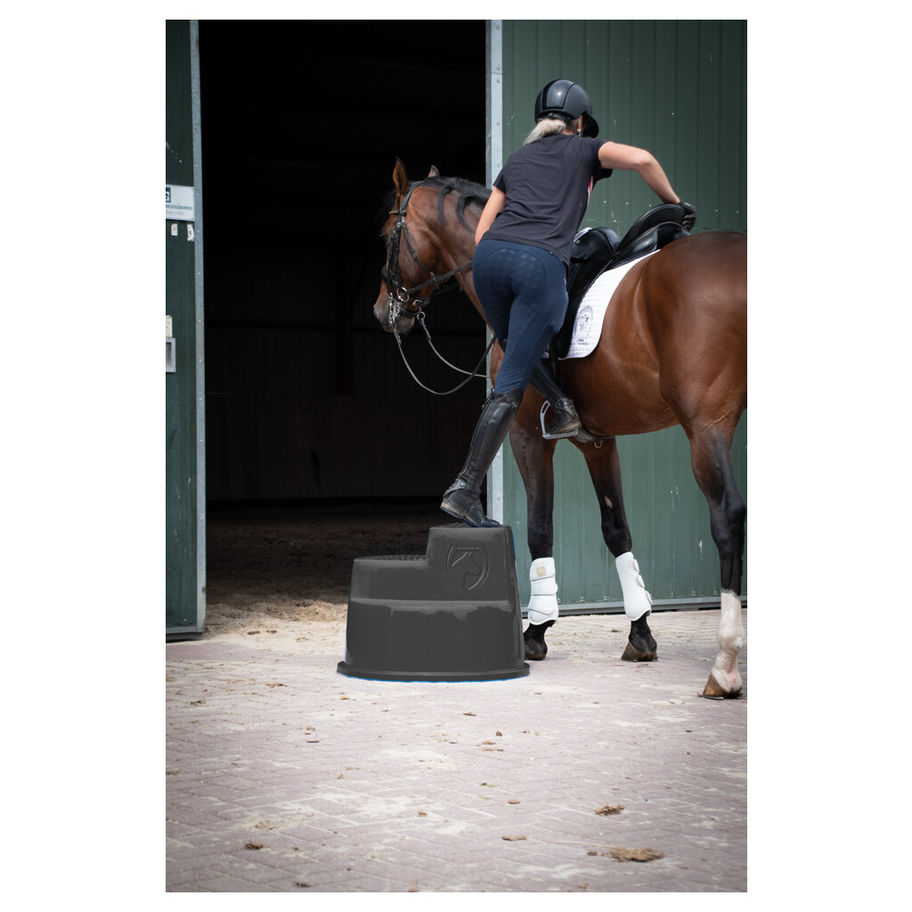 Cavalière monte sur un cheval marron avec l'aide d'un marchepied dans l'écurie.