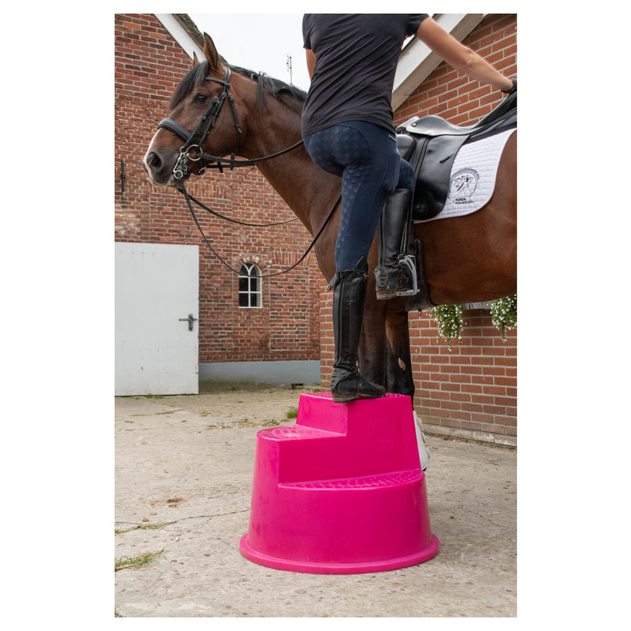 Person on step, mounted brown horse, pink step, brick building background, Flonimaux.