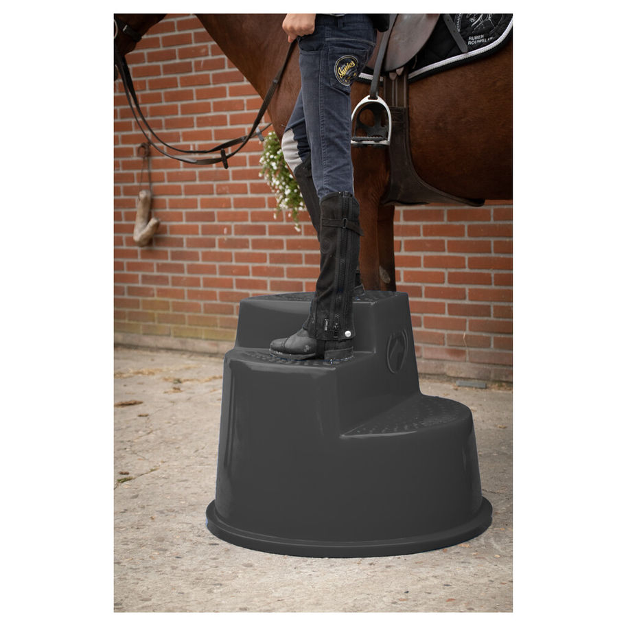 Person on step, mounted brown horse, near brick wall. Flonimaux.