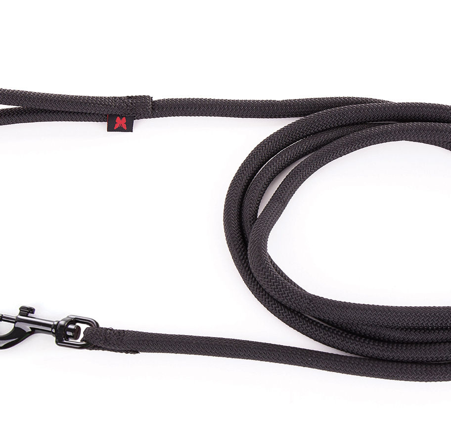 Laisse ronde en nylon pour chien noire, avec mousqueton, sur fond blanc. Flonimaux